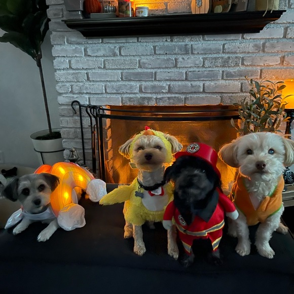 Meet your Posher, Kim - Picture 1 of 1